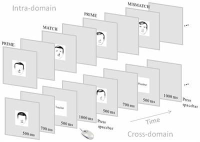 Source Reconstruction of Brain Potentials Using Bayesian Model Averaging to Analyze Face Intra-Domain vs. Face-Occupation Cross-Domain Processing